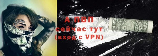 индика Нефтекумск