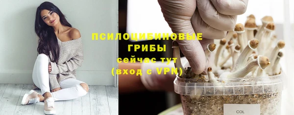 индика Нефтекумск