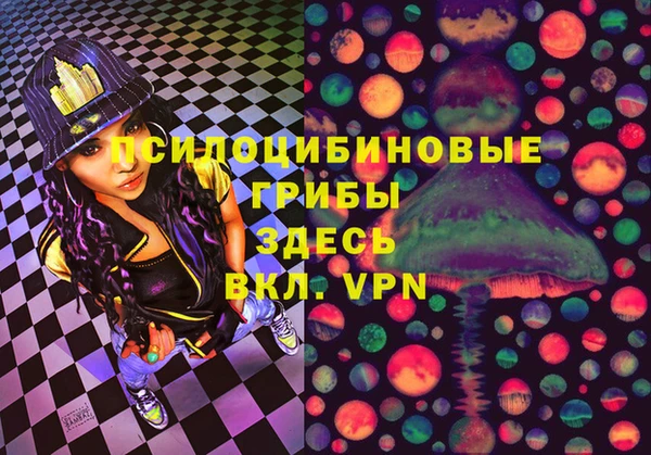 ешки Нефтегорск
