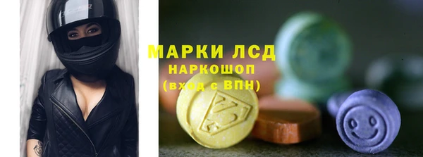 индика Нефтекумск