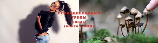 твердый Нея