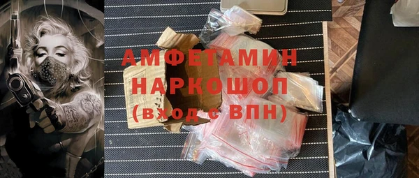 индика Нефтекумск