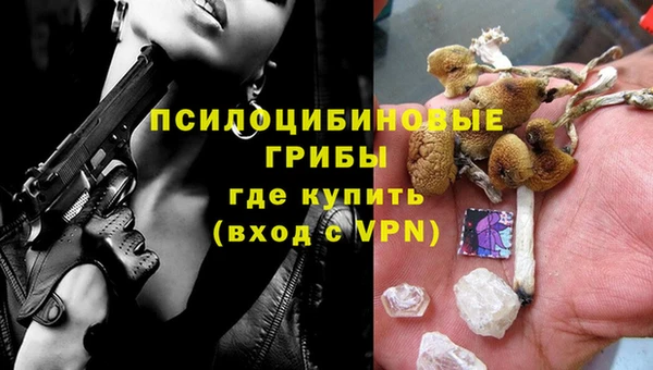 ешки Нефтегорск