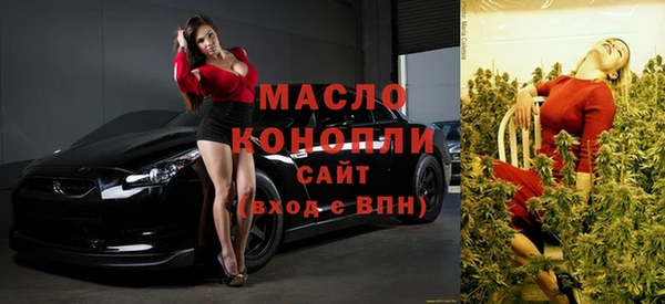 индика Нефтекумск