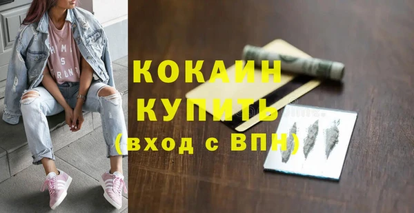 индика Нефтекумск