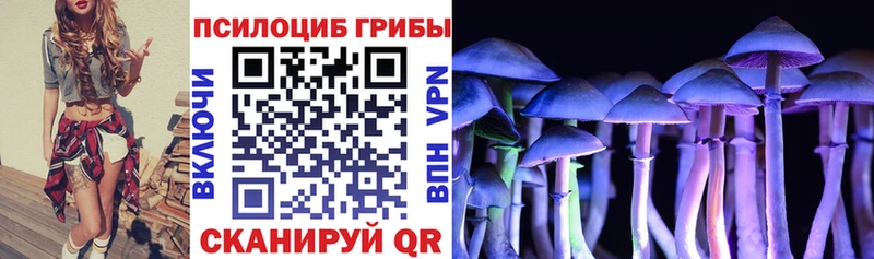 Псилоцибиновые грибы прущие грибы Юхнов
